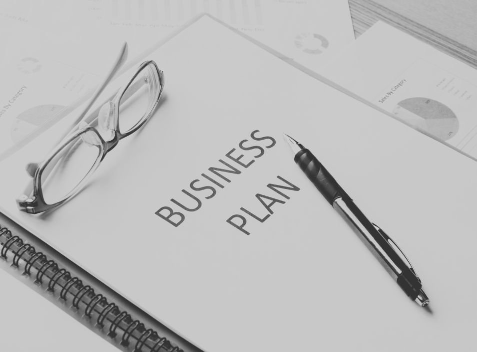 StartScaleGrow | Business plan development service
